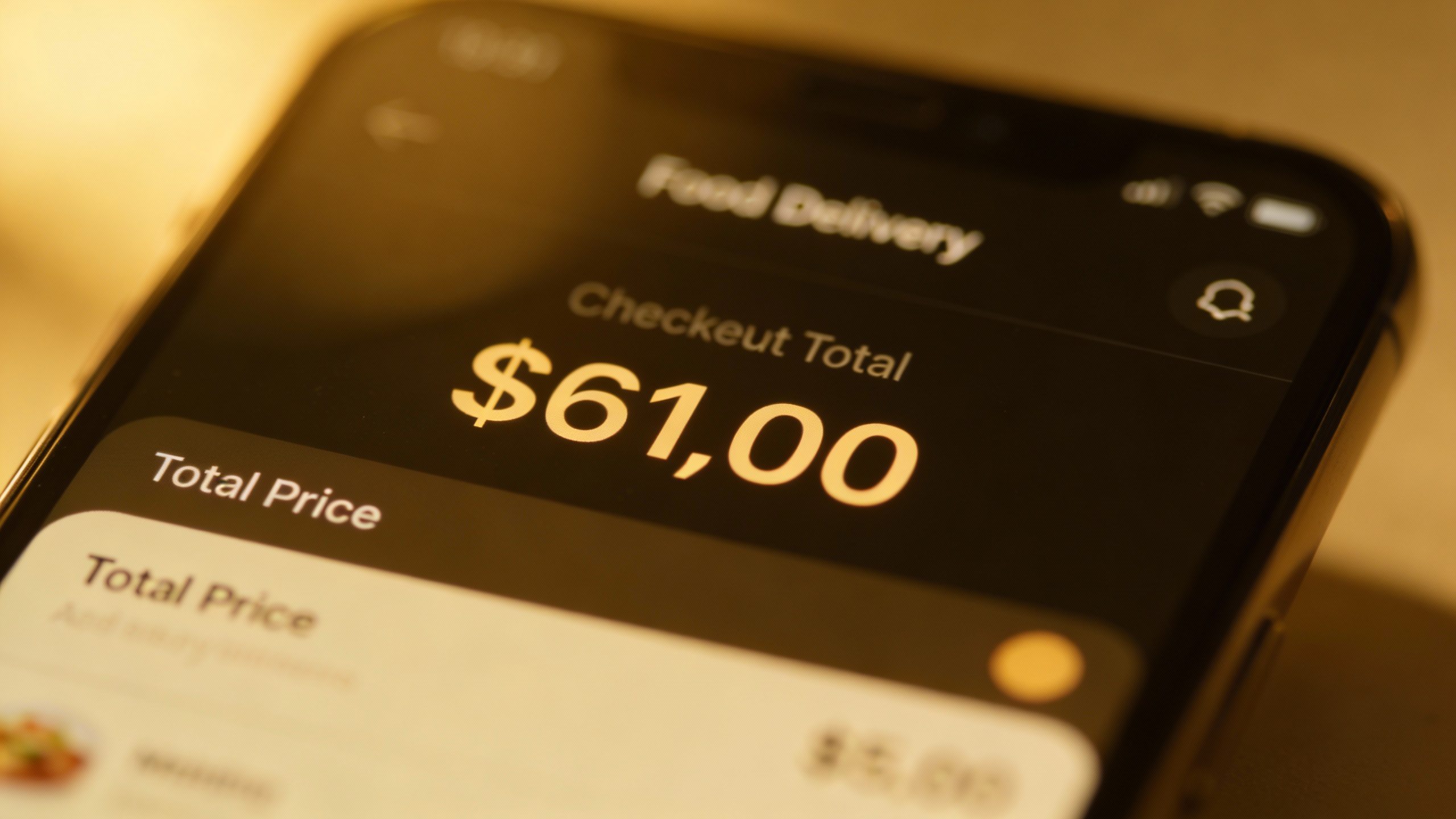 smartphone showing food delivery checkout total, closeup screen