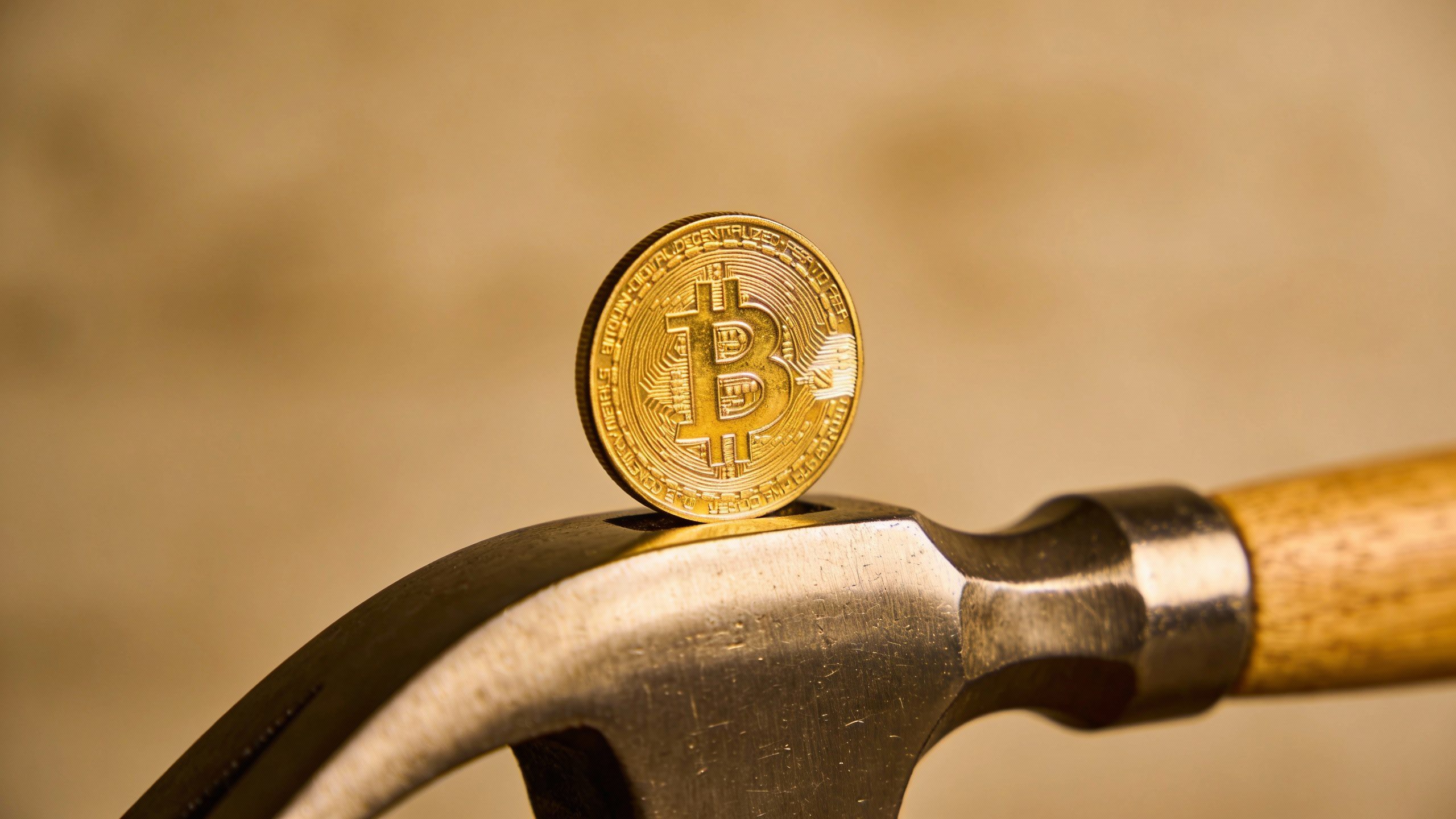 **Closeup of a gold coin balanced on a hammer’s head**
