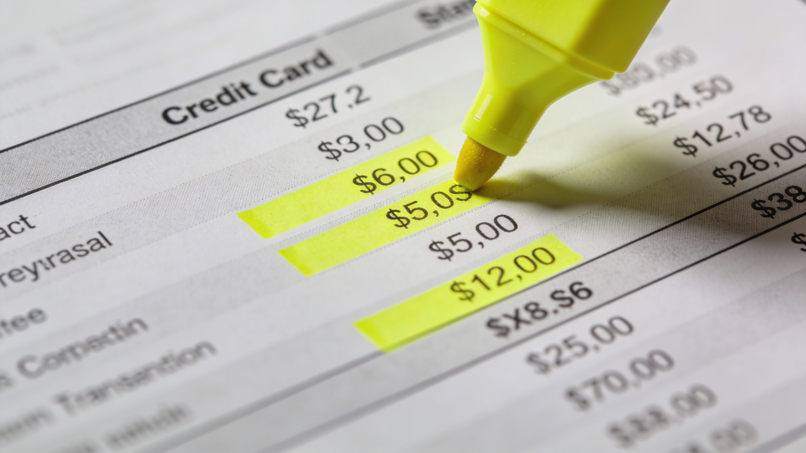 **Detailed shot of a credit card statement with highlighted expenses**