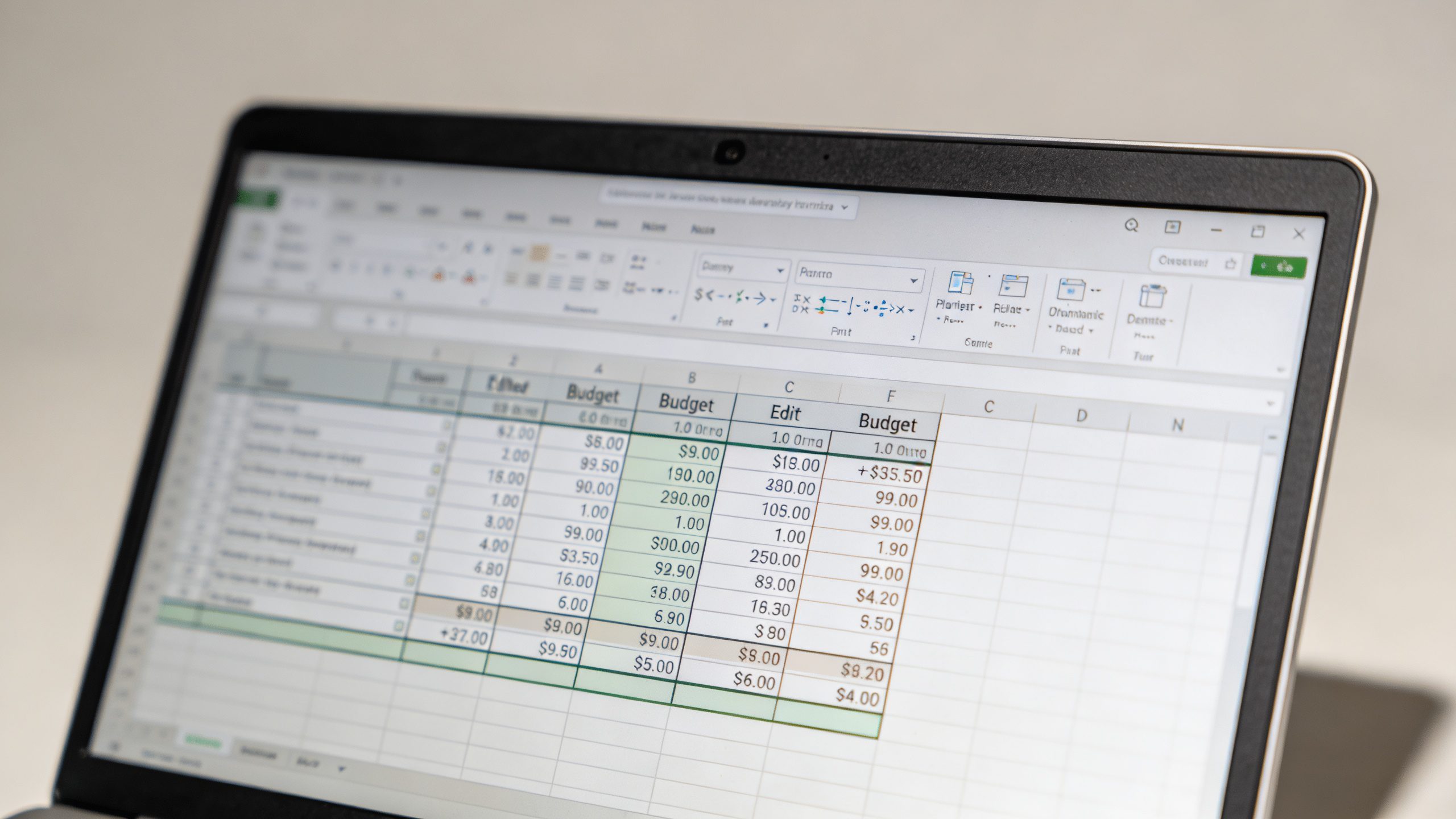 Closeup of a single editable budget planner spreadsheet on a laptop screen