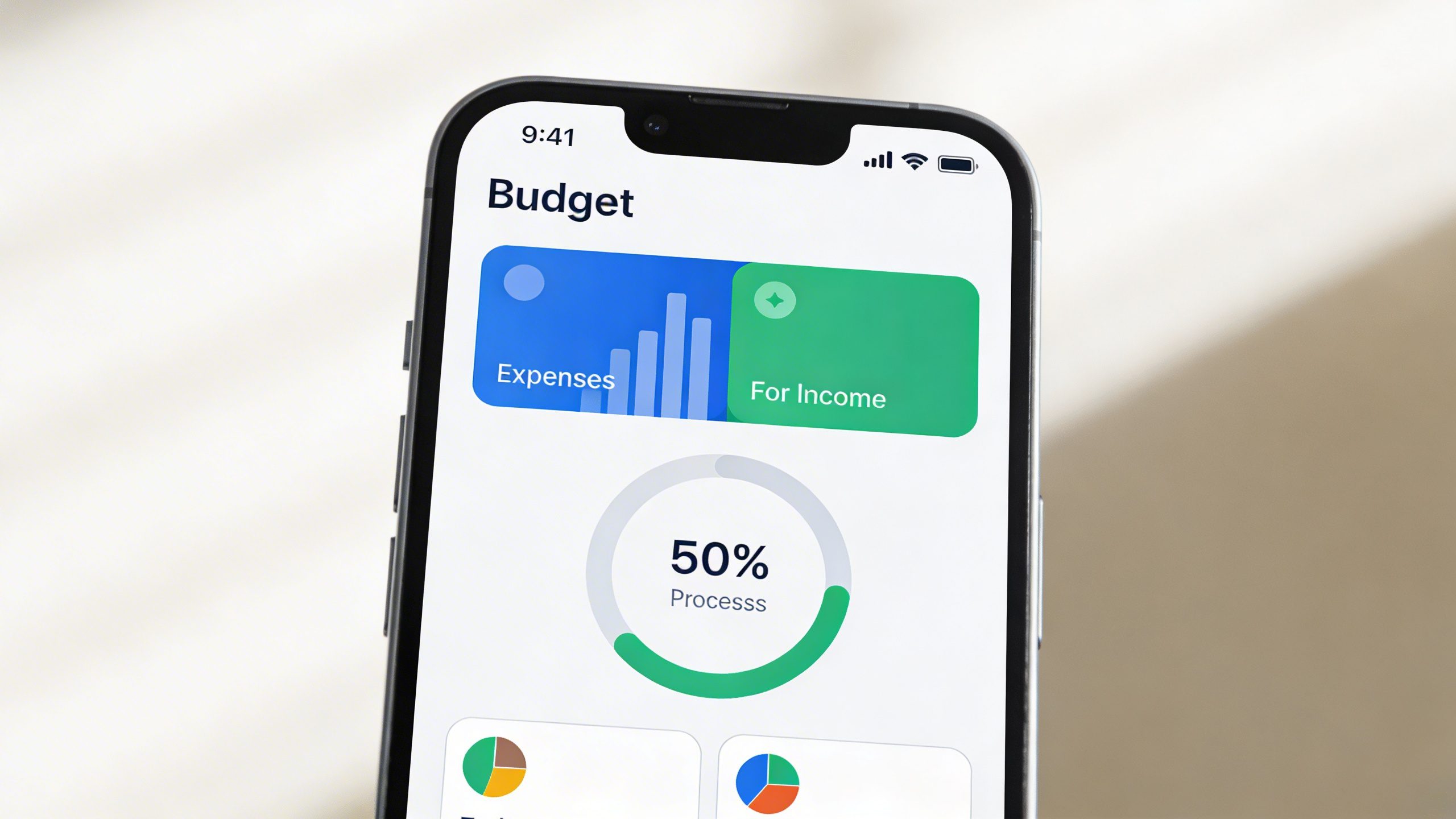 Closeup of a single smartphone screen displaying a budget app summary