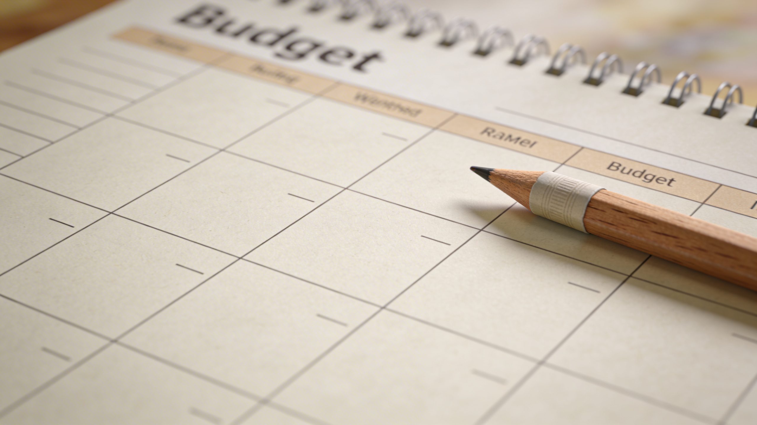Closeup of a planner page showing a budget spreadsheet and pencil