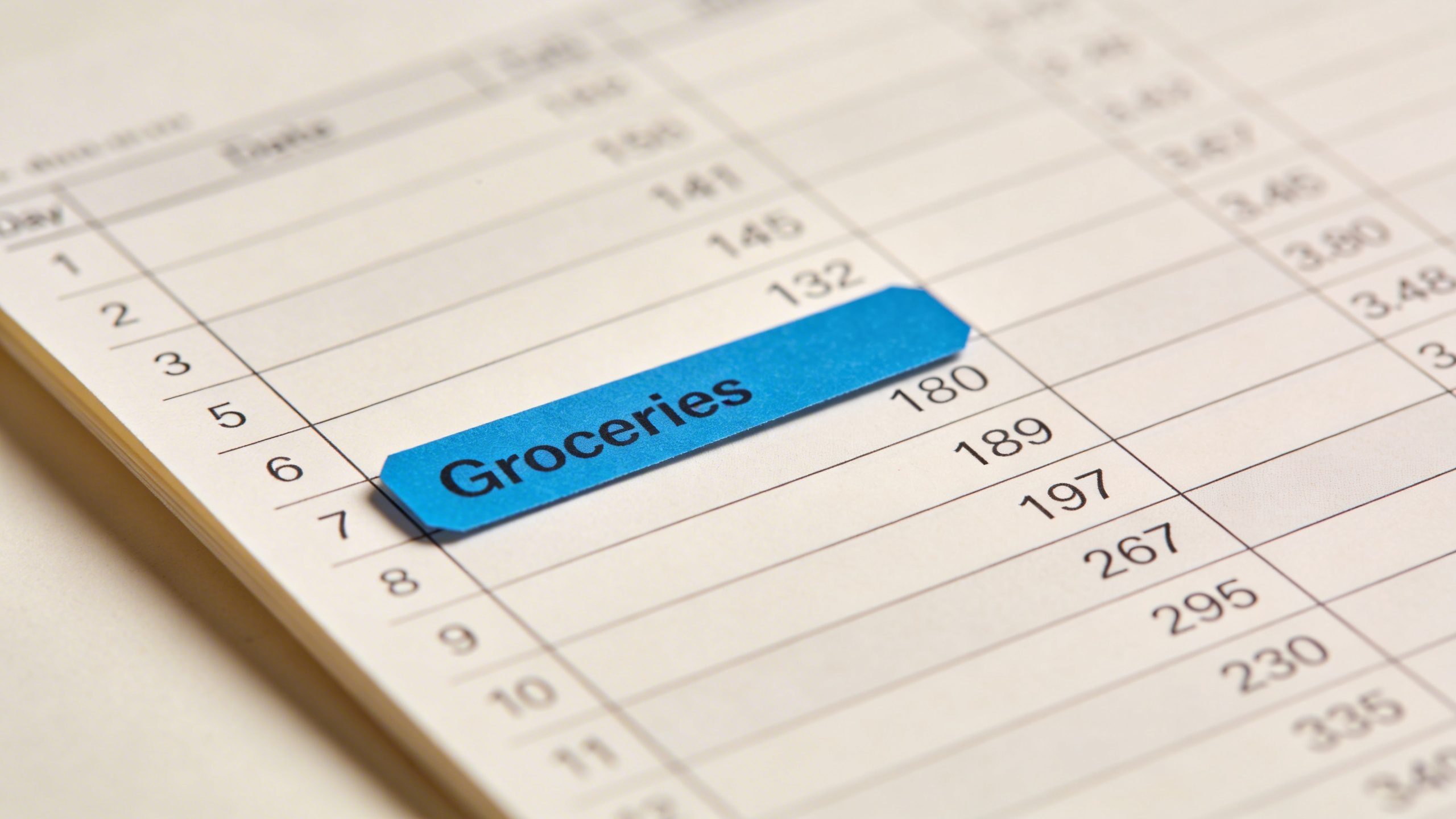 Closeup of a single expense tracker sheet with a highlighted category tag