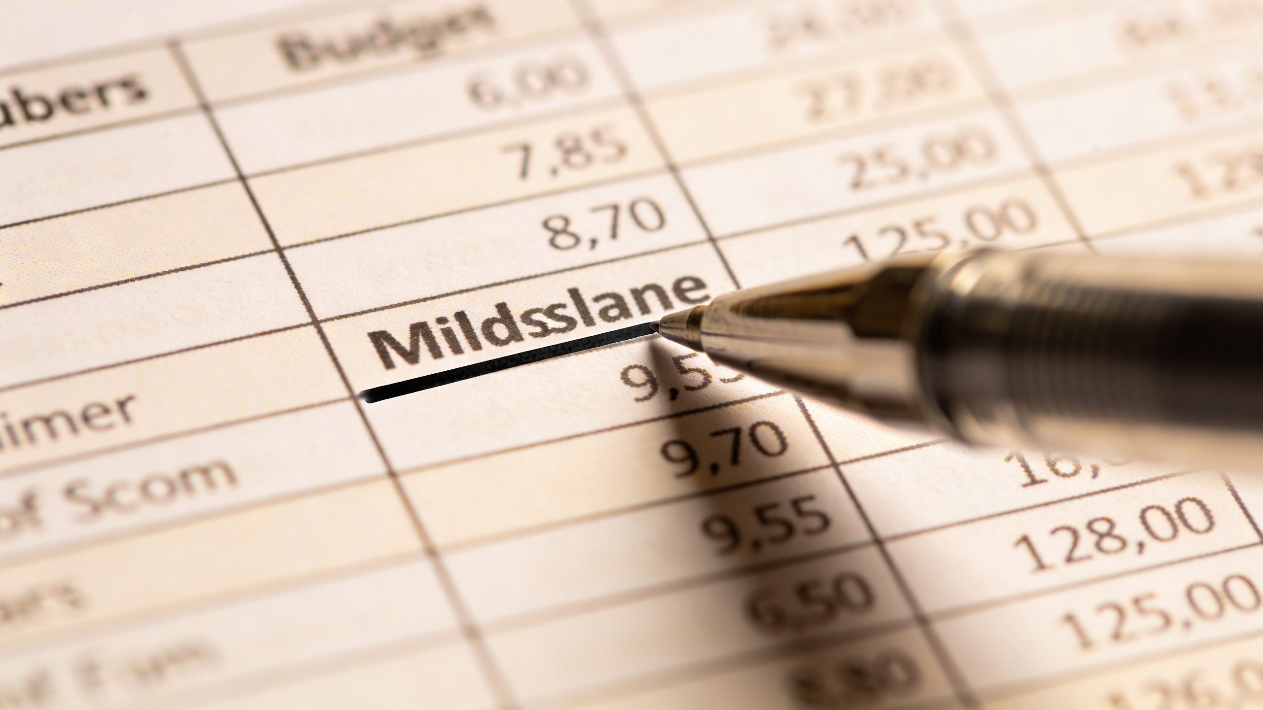 Closeup of a pen marking a budget milestone on a printed budget sheet