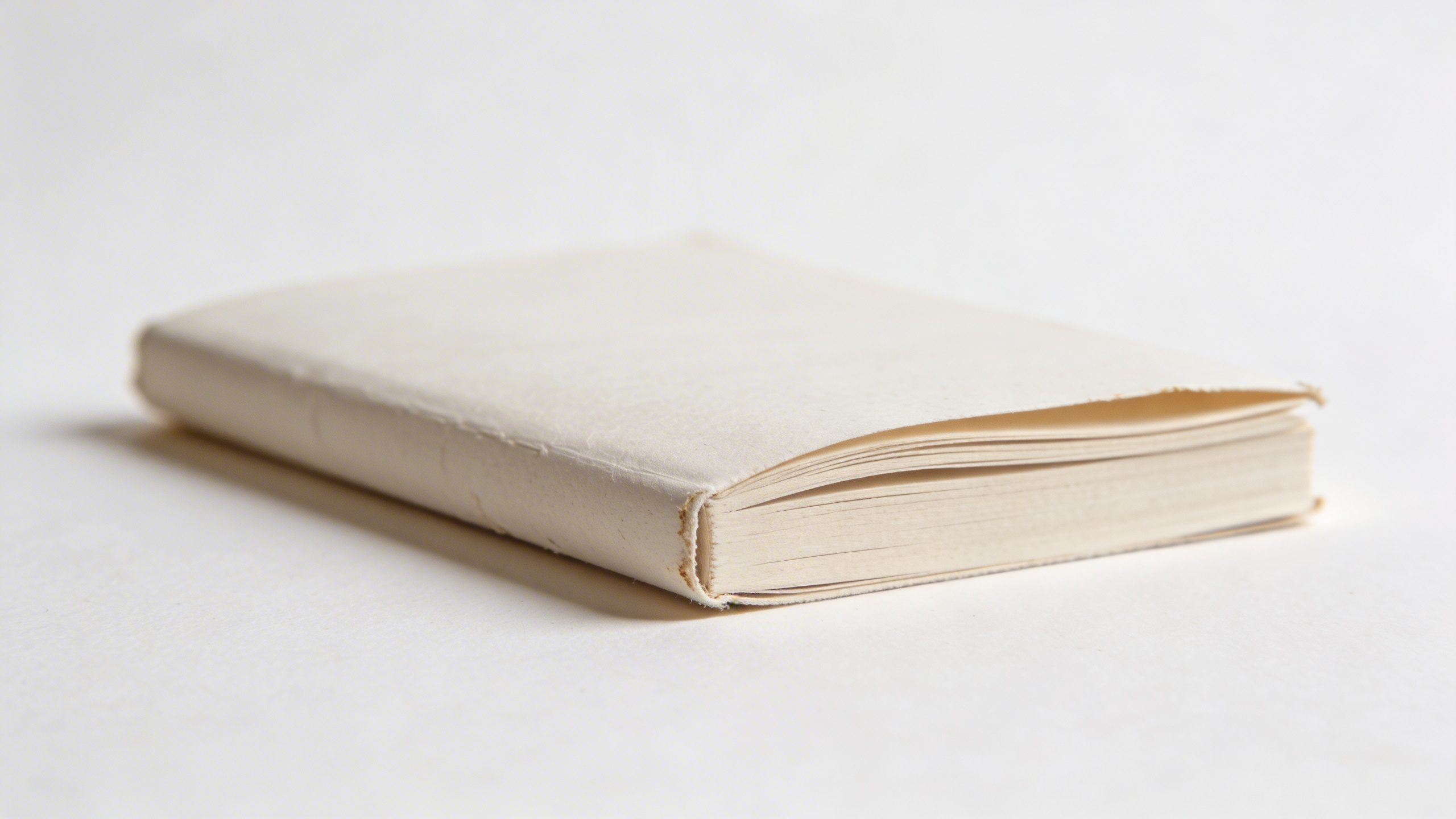 Closeup of a single folded budget notebook with minimalist layout